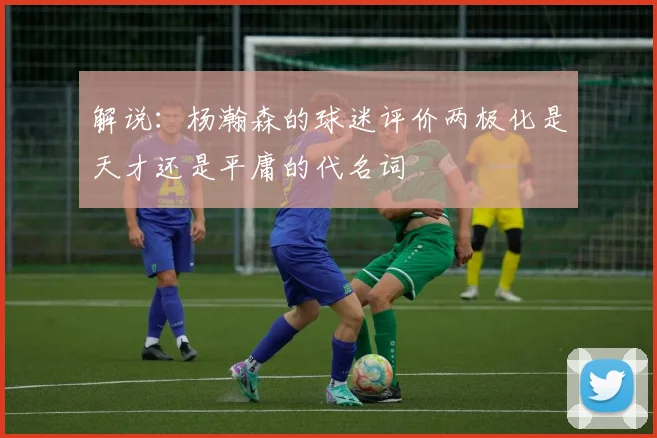 解说：杨瀚森的球迷评价两极化是天才还是平庸的代名词