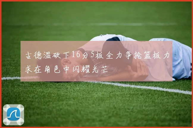 古德温砍下16分5板全力争抢篮板力求在角色中闪耀光芒