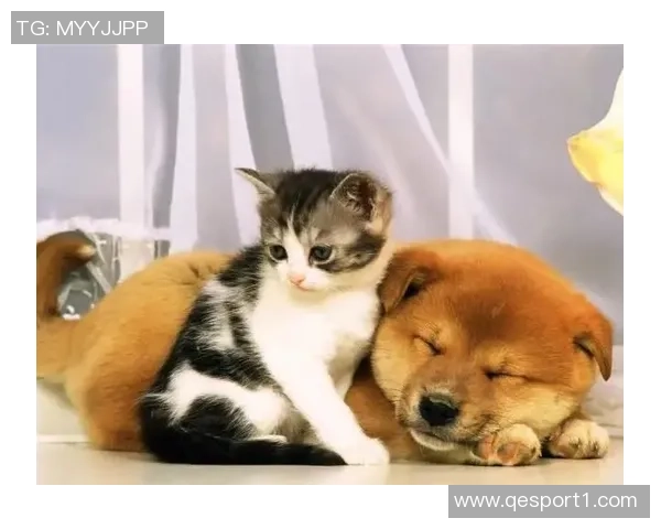 被麦卡甩后一个月他与我的朋友同居还带走了我的狗 被麦卡甩后一个月他与我的朋友同居还带走了我的狗